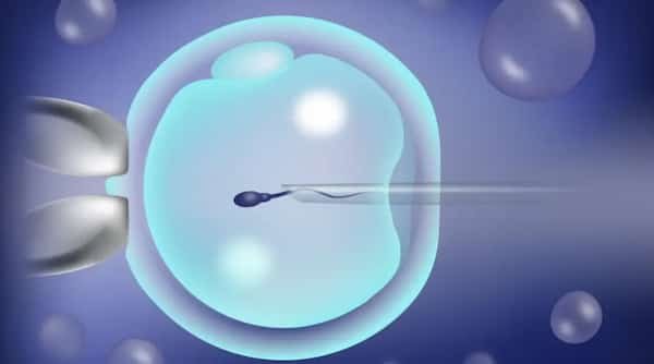 The need for and scientific management of luteal support in IVF cycles