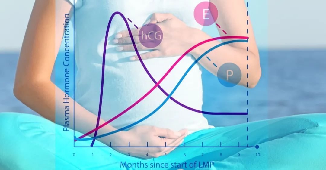 methods of fertility preservation for surrogate mothers