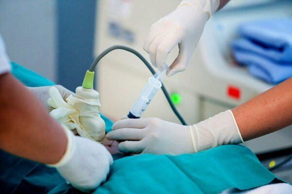 Medical Risks and Comprehensive Management of Miscarriage in Surrogate Mothers