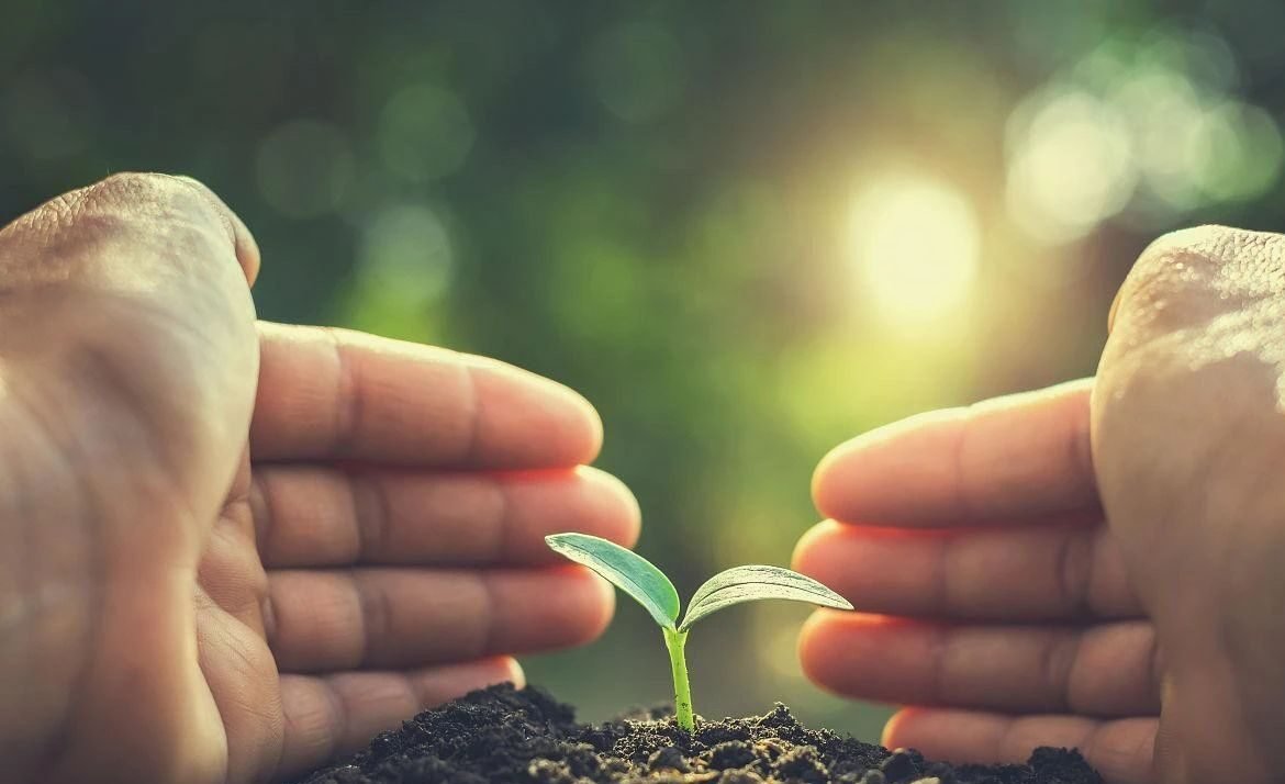 Endometrial thickness in surrogate mothers