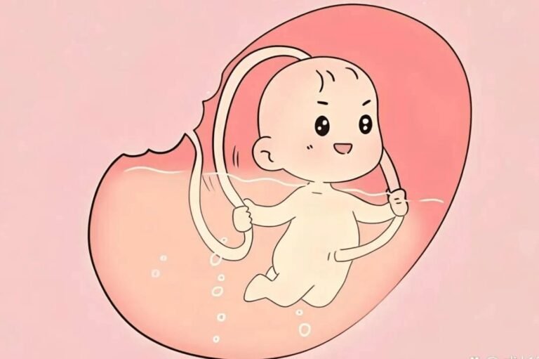 Emotions during pregnancy affect a child's life