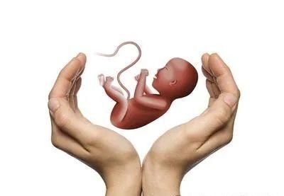 After Embryo Transfer for Surrogate Mothers to Confirm Pregnancy