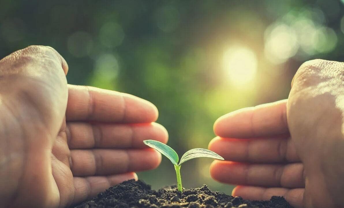 repeated embryo transfer failures in surrogate mothers