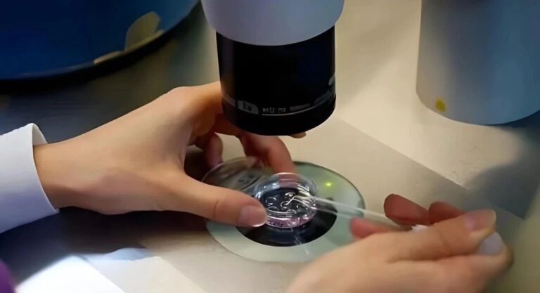 IVF vs Natural Cycles: 7 Unspoken Scientific Truths About Fertility Doctors